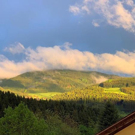 Black Forest Appartement - Brandenkopfblick Zell am Harmersbach Exteriér fotografie